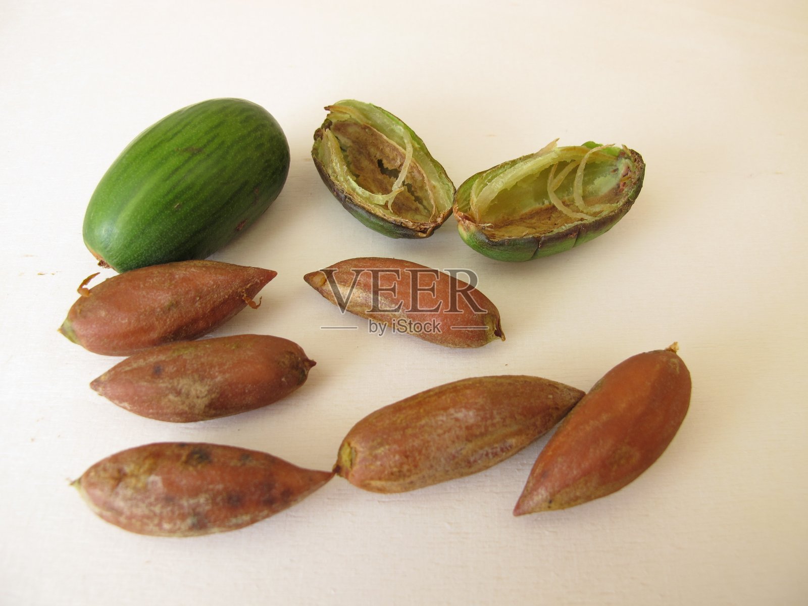 来自日本香榧的坚果照片摄影图片