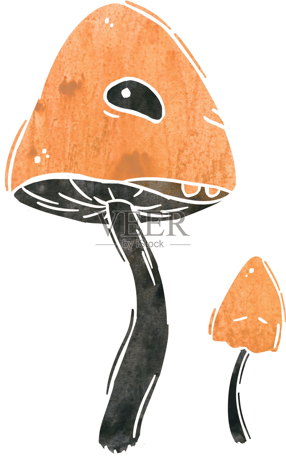 万圣节。插画图片素材