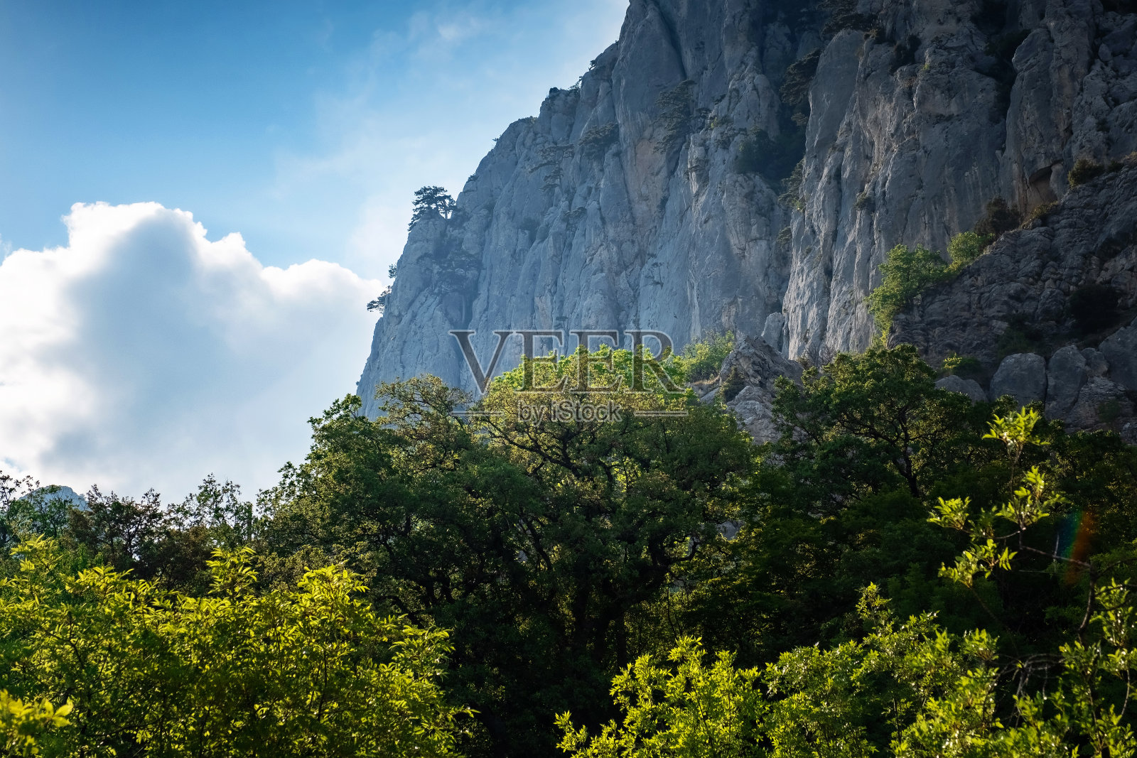 山上的沥青路，明媚的阳光，暑假的时光照片摄影图片