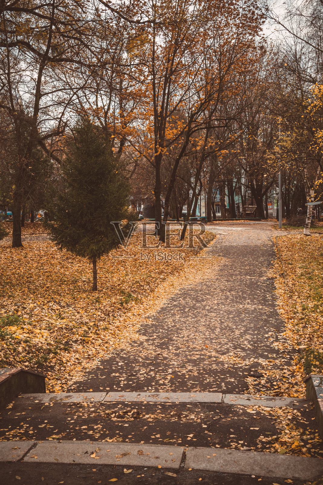 秋天的城市公园照片摄影图片