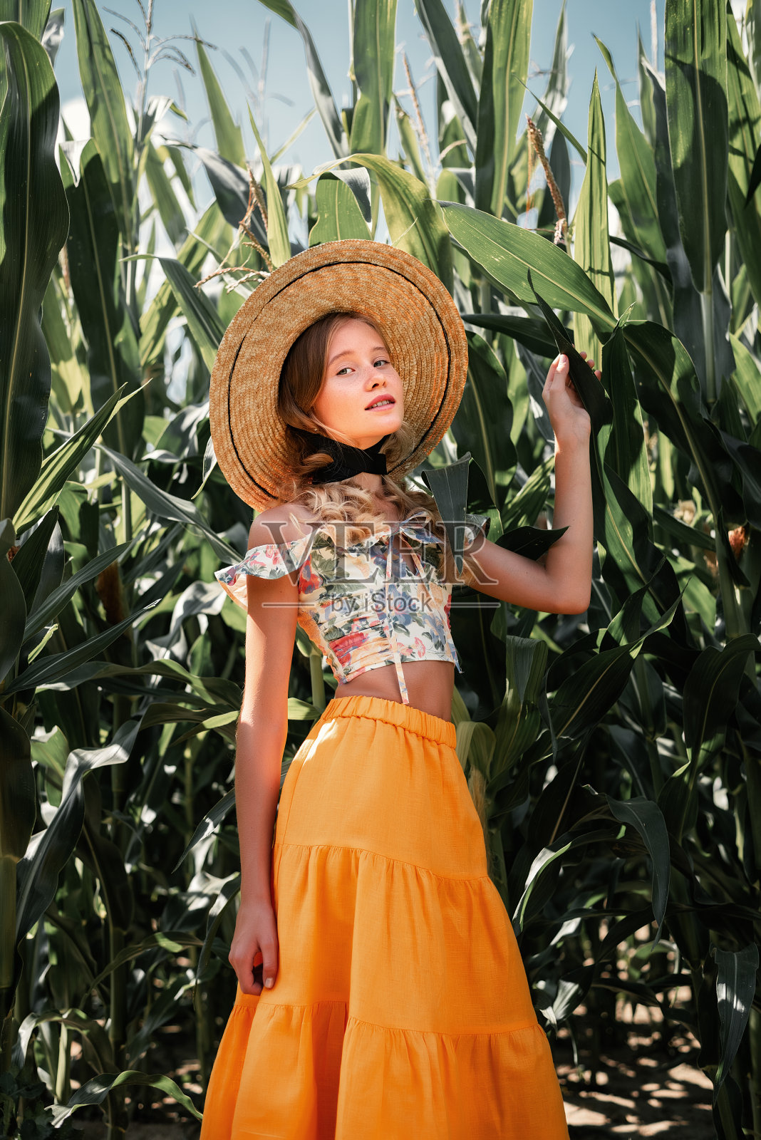 时尚的年轻女孩穿着复古服装和帽子在玉米田摆姿势。与自然统一。时尚的概念照片摄影图片