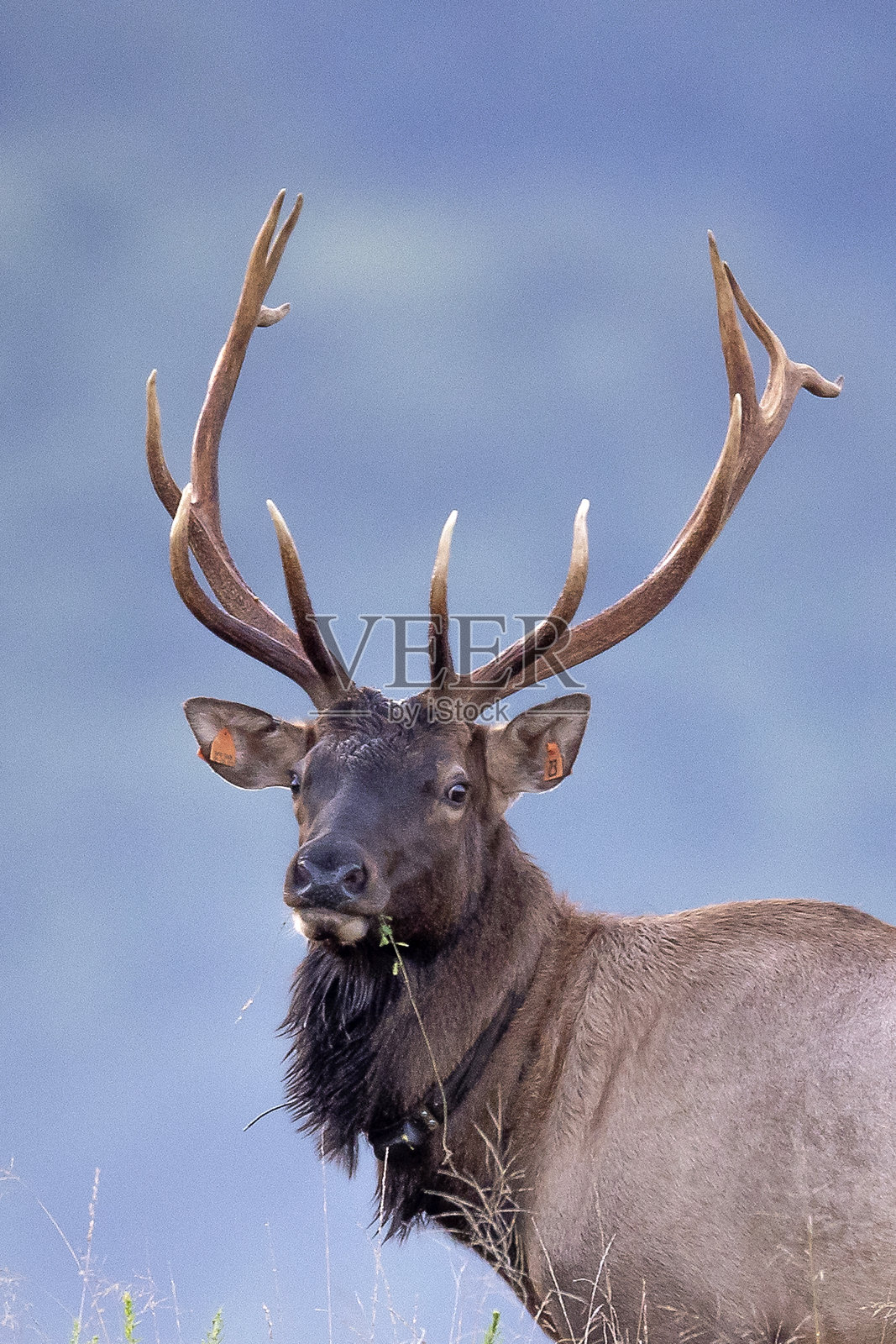 每照片摄影图片