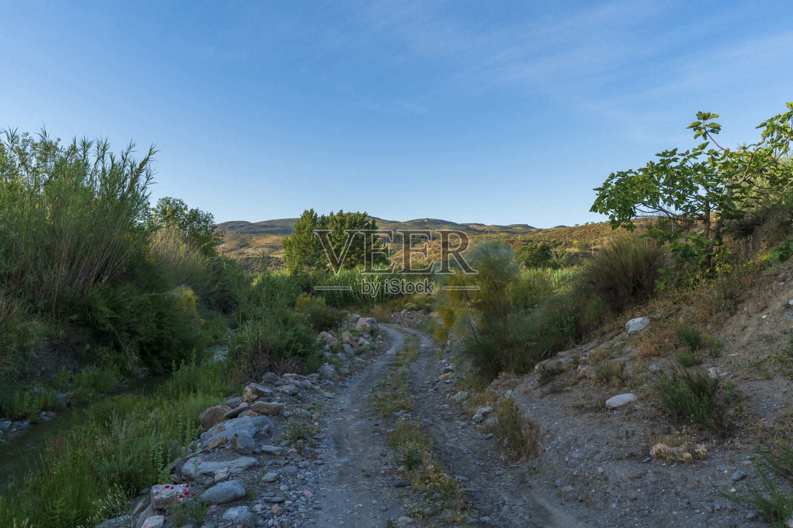 有植被的山地景观中的小路照片摄影图片