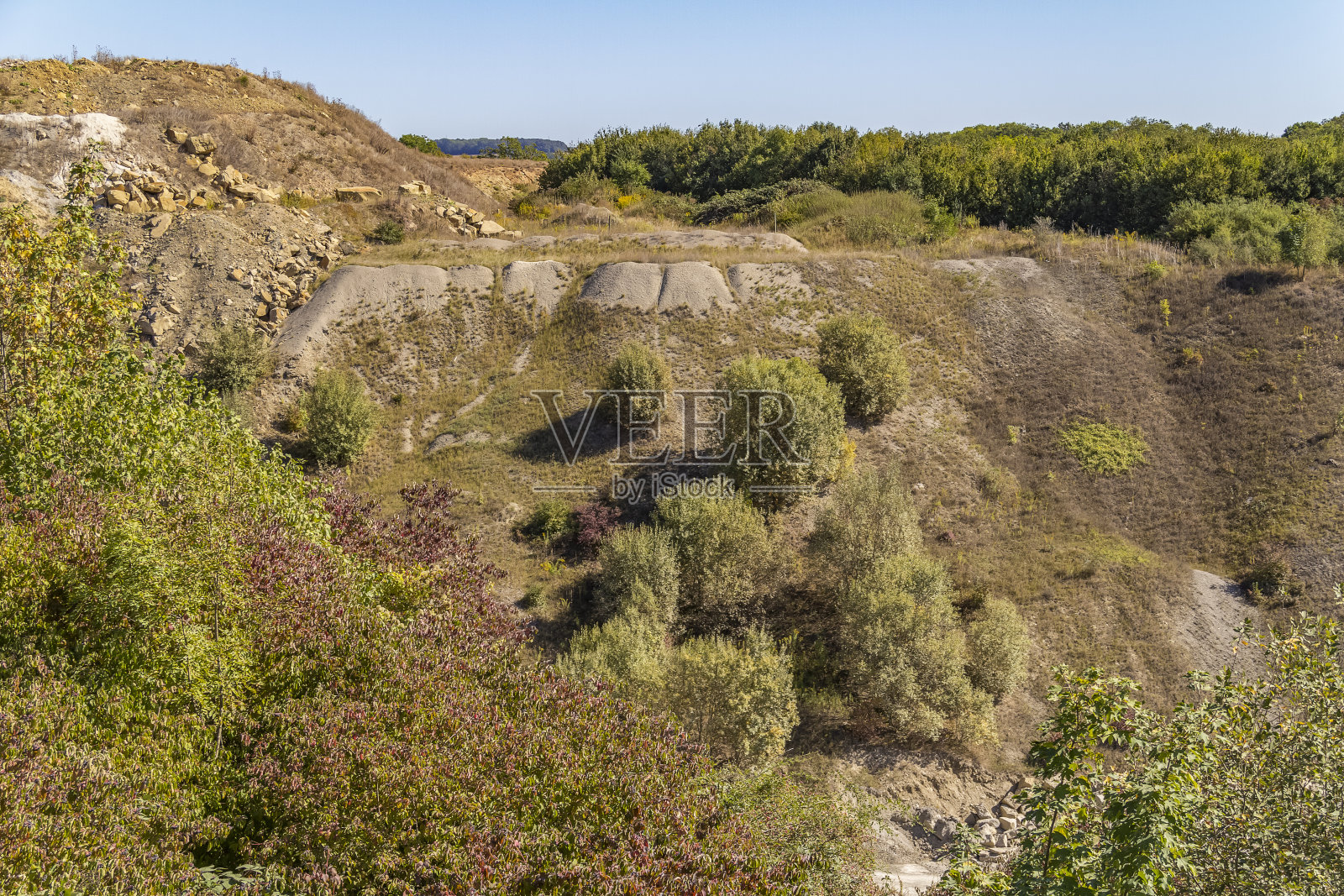 干旱破坏桩照片摄影图片