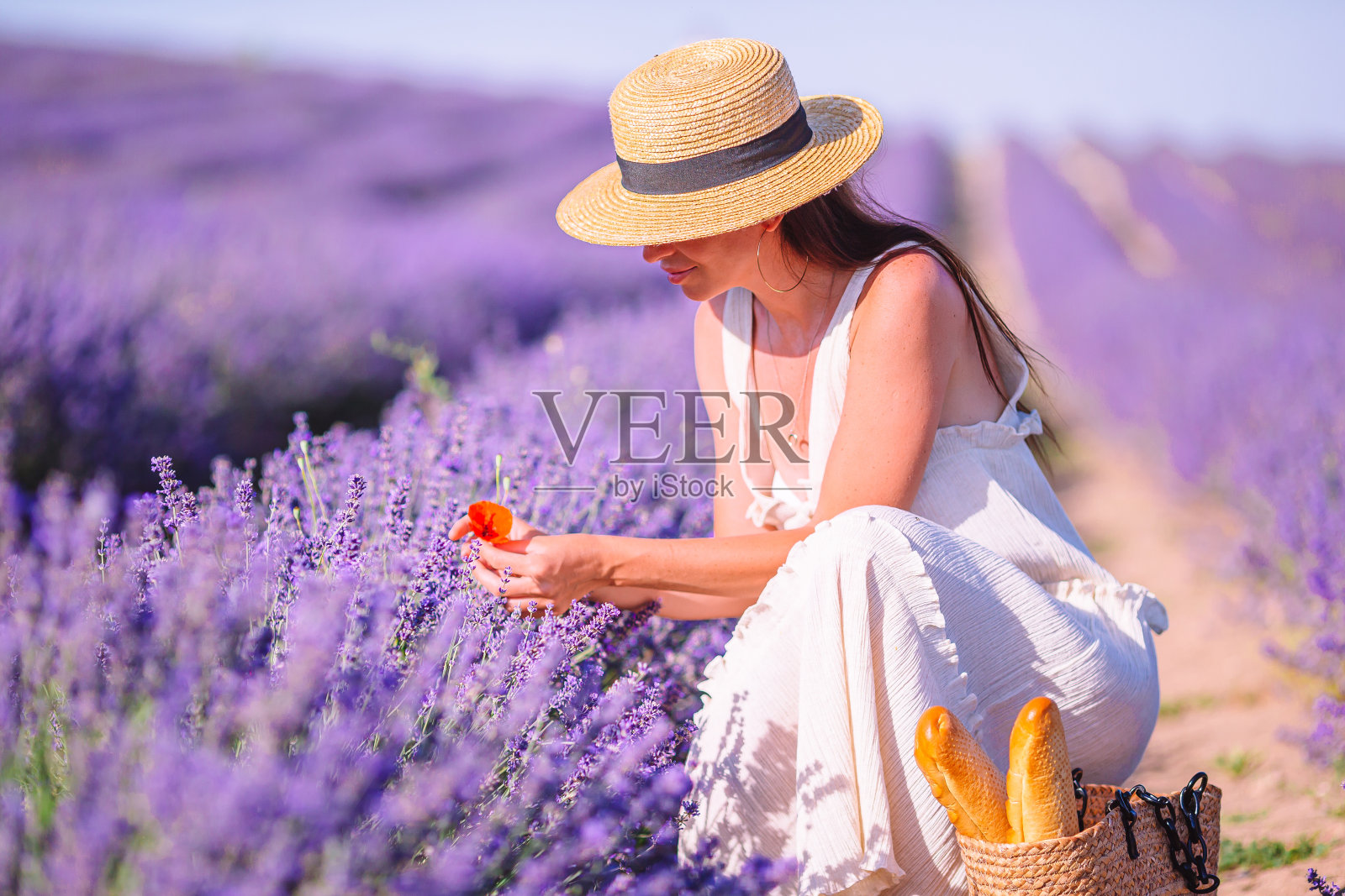 日落时，身着白色礼服，头戴白色帽子的女子在薰衣草花丛中照片摄影图片