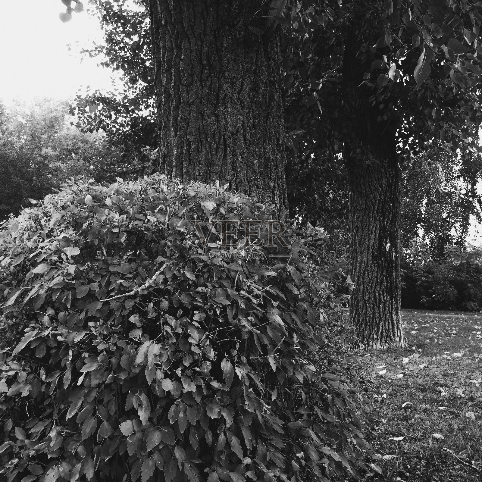 城市建筑、城市景观、背景与肌理照片摄影图片