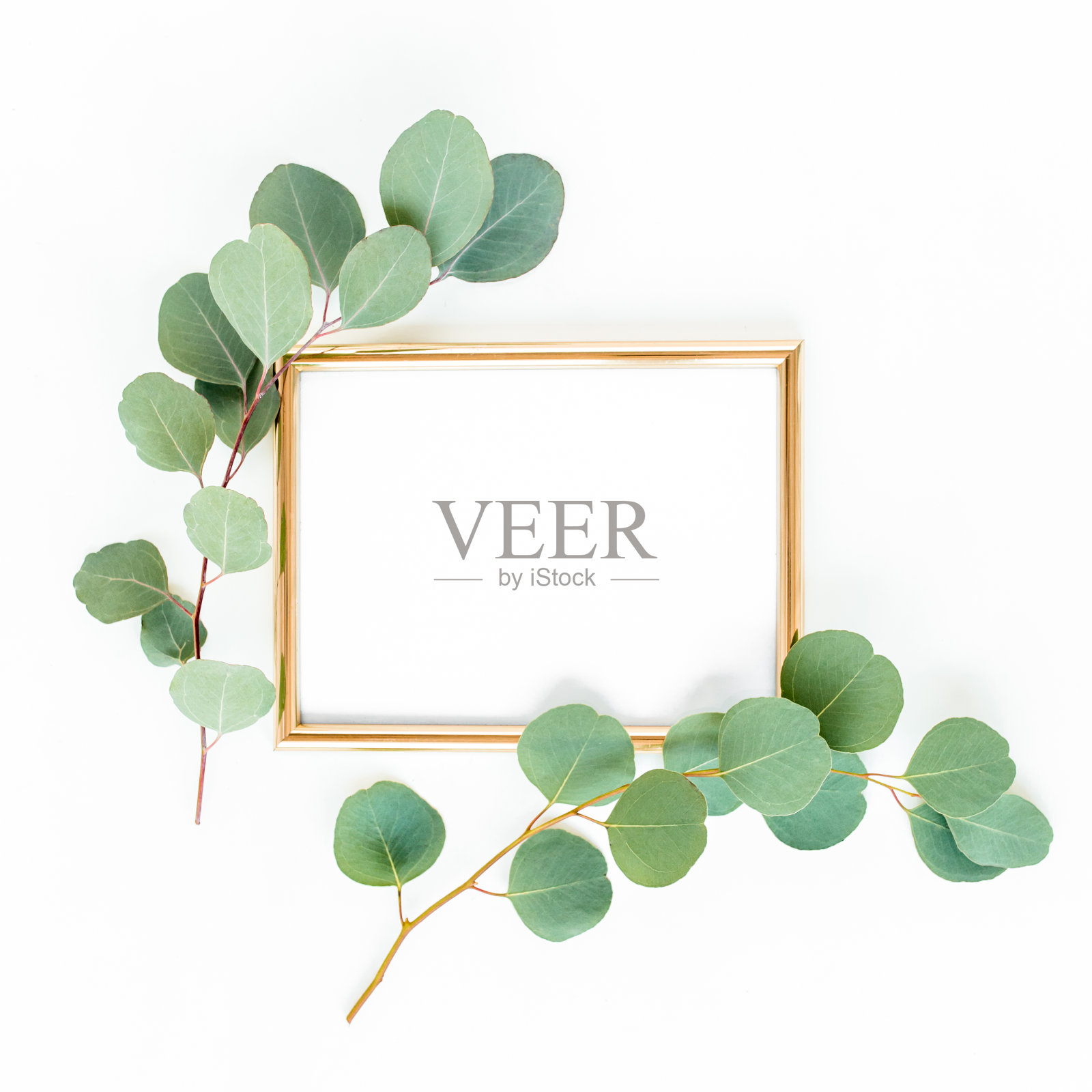 金色的框架上点缀着绿色的树枝和桉树叶，背景是白色的。平放，俯视图照片摄影图片