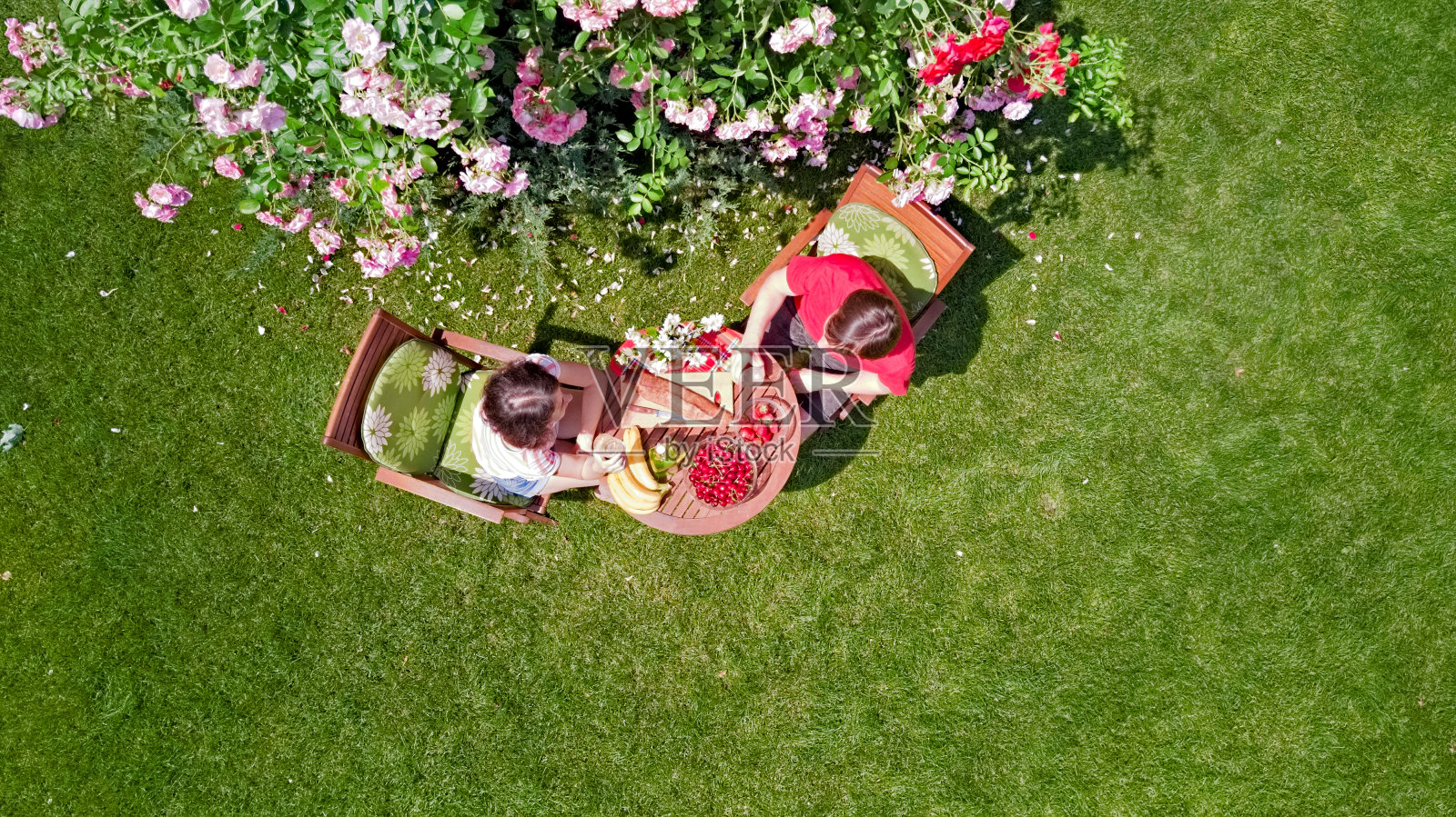 年轻的情侣在美丽的玫瑰花园享受美食和饮料，浪漫的约会，在空中俯瞰男人和女人在公园外面一起吃和喝照片摄影图片