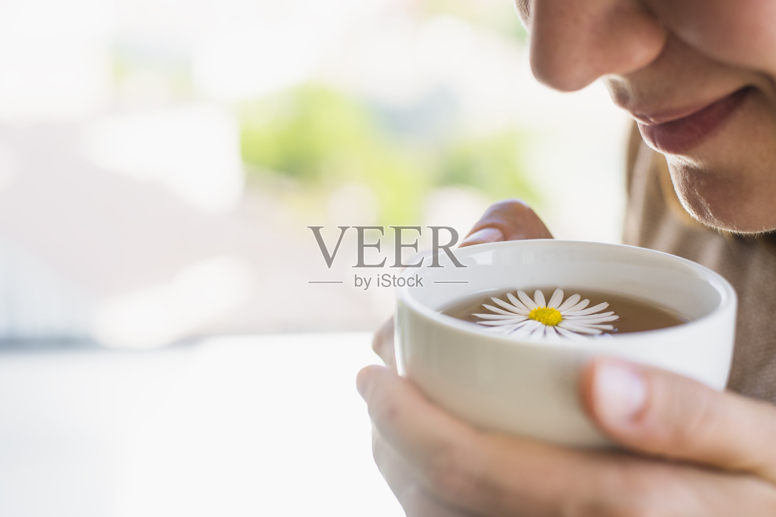 一杯平静的草药甘菊茶在女人的手中照片摄影图片