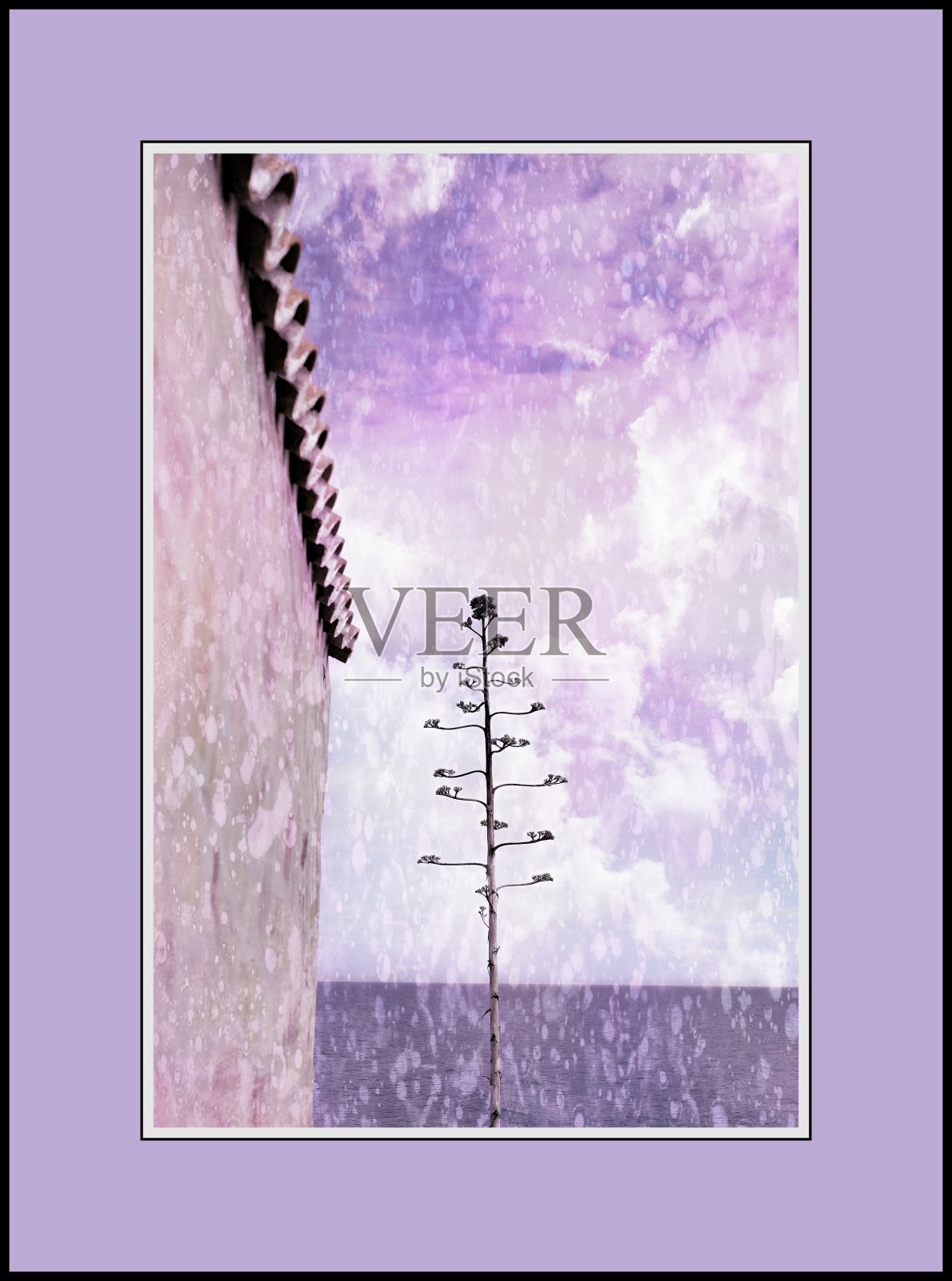 将照片转换成复古的，色彩丰富的帆布墙壁艺术照片照片摄影图片