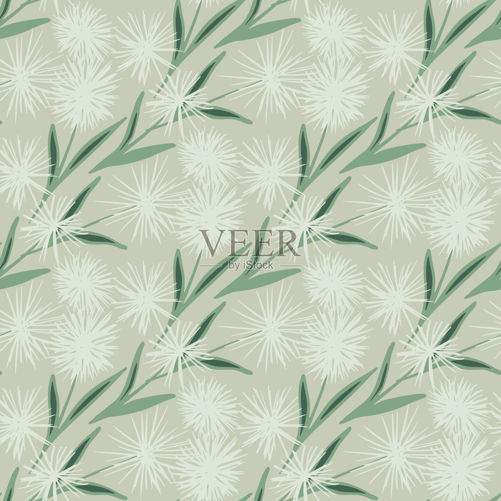 植物无缝图案与手绘抽象蒲公英。白色的花和绿色的叶子在柔和的米色背景。插画图片素材