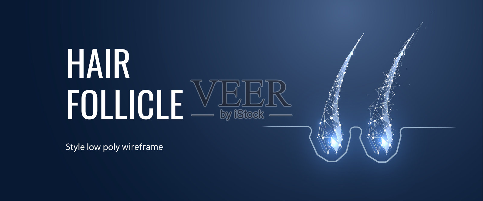 毛囊治疗低聚登陆页模板。毛发科学网横幅。3d发根与发光的多边形插图。防秃诊所网艺主页设计布局插画图片素材