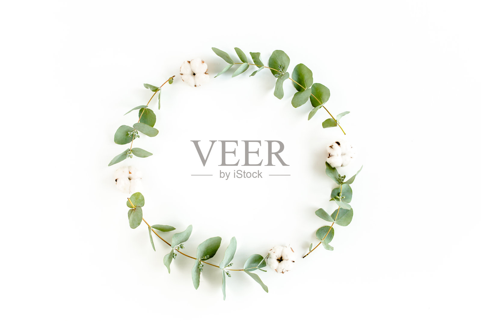 花环框架由树枝，桉树，树叶和棉花孤立在白色的背景。平躺，俯视图照片摄影图片