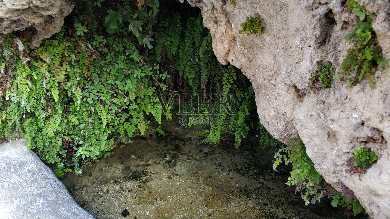 莱图尔照片摄影图片