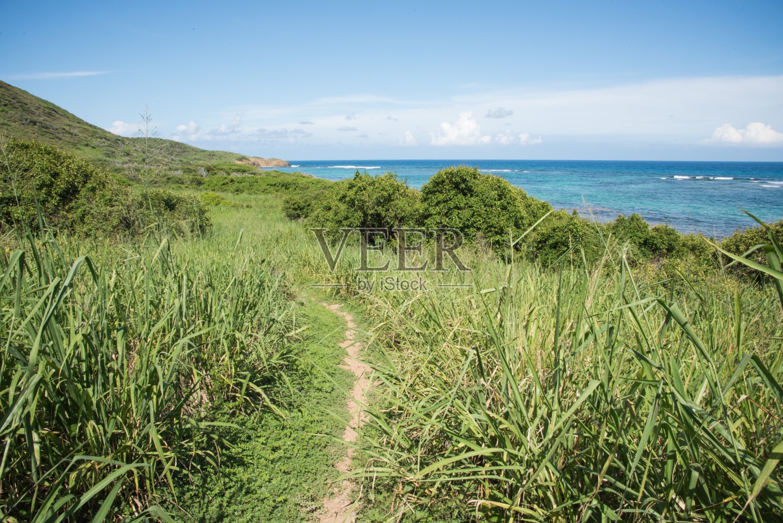 海滨景观中的路径照片摄影图片