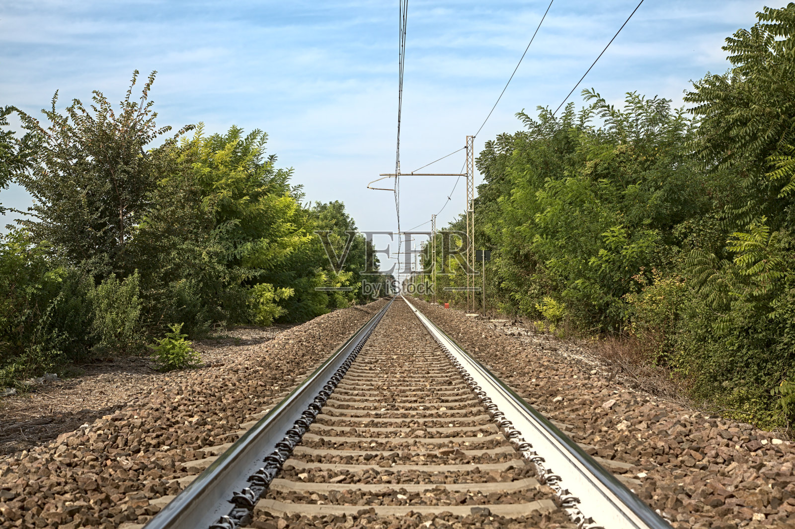 有架空电缆的铁路，乡间的夏天树木环绕照片摄影图片