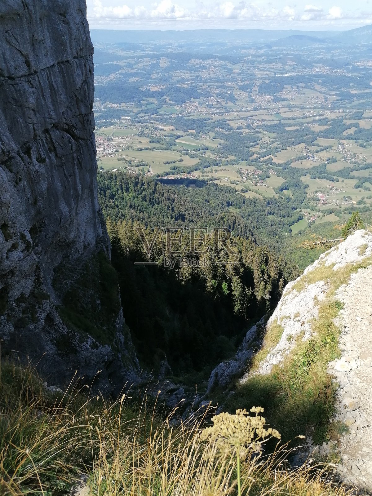 悬崖下的森林照片摄影图片