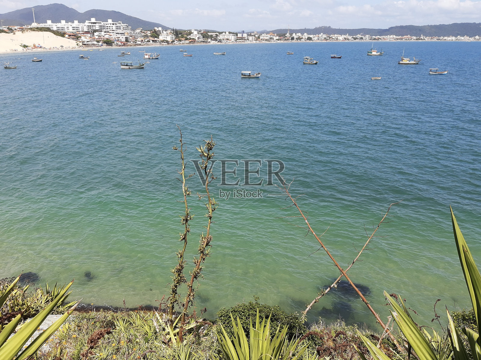 美丽的热带海滩风景。照片摄影图片