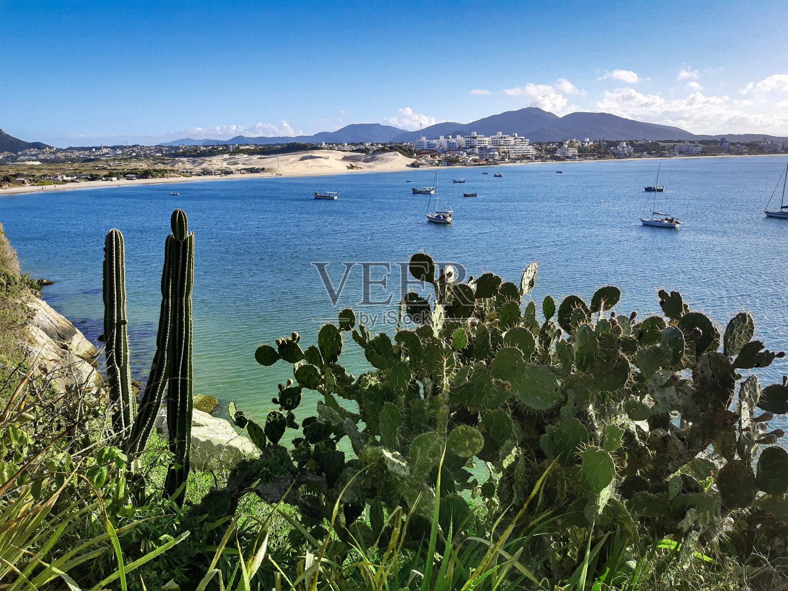 美丽的热带海滩风景。照片摄影图片