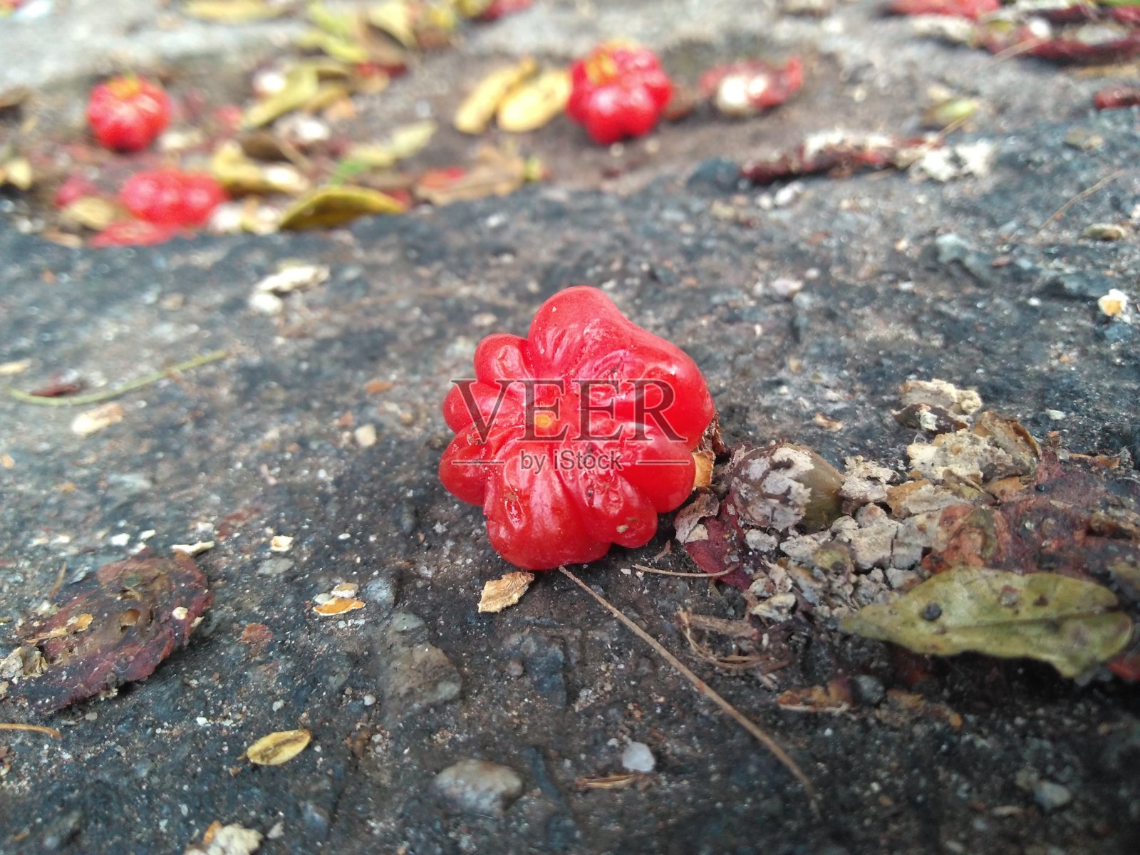 红色水果照片摄影图片