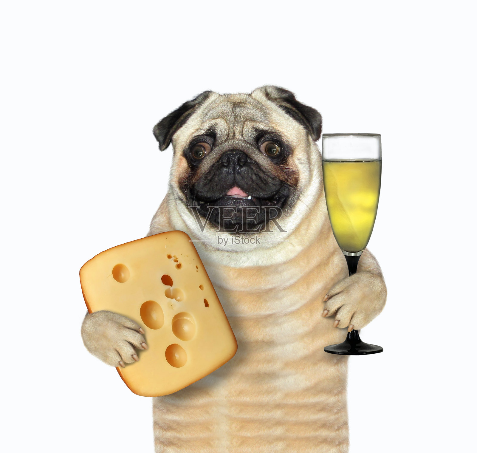 帕格，奶酪和葡萄酒照片摄影图片