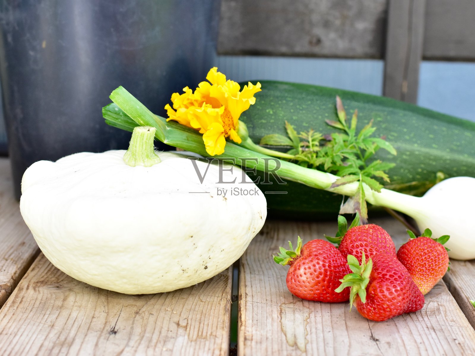 新冠肺炎胜利花园的园丁尝试新的爱好，从种子中种植新鲜收获的有机蔬菜照片摄影图片