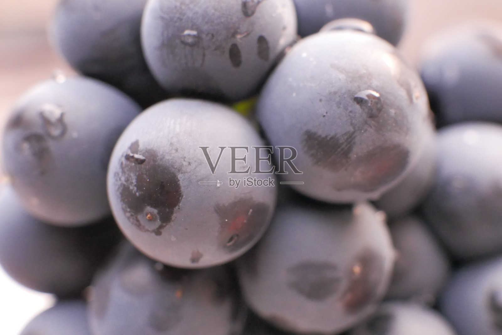 蓝色的葡萄照片摄影图片