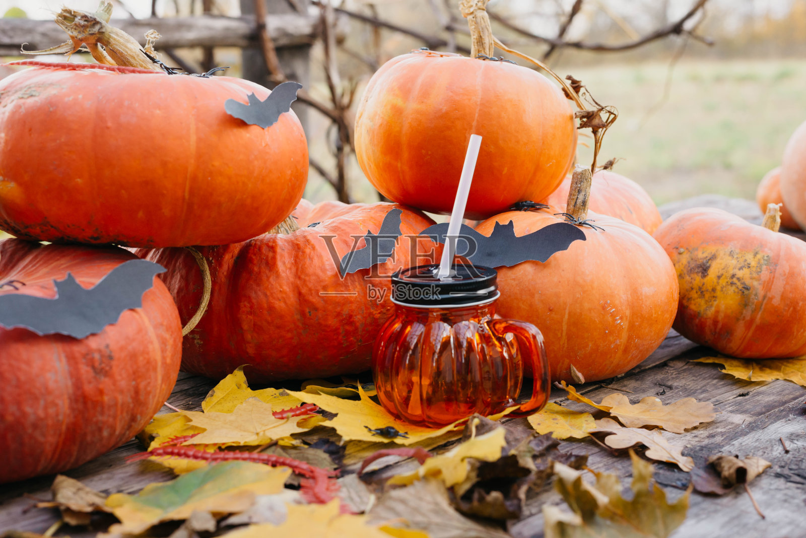感恩节,万圣节快乐。南瓜水果和枫叶放在木桌上，收集着秋天的收获。传统的概念。照片摄影图片