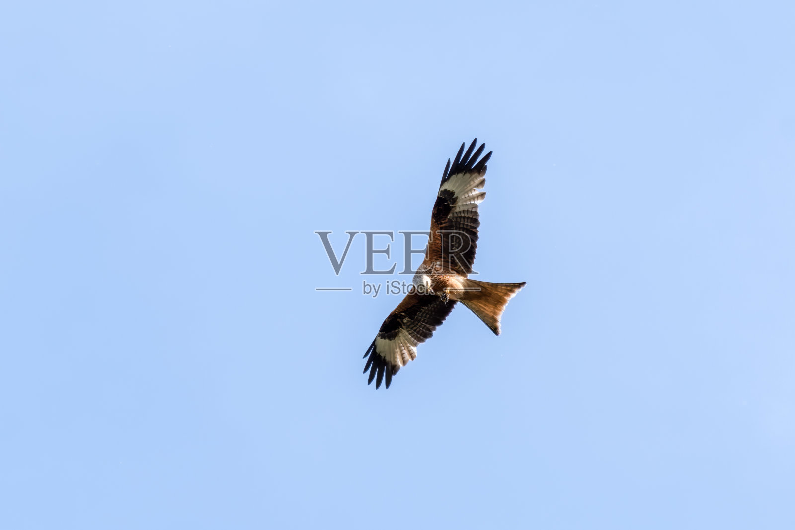 红风筝翱翔天空照片摄影图片