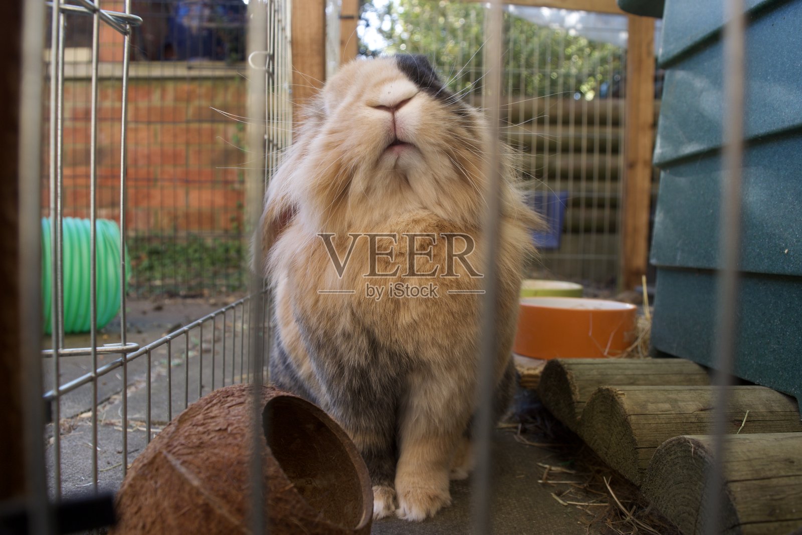 好吗?照片摄影图片