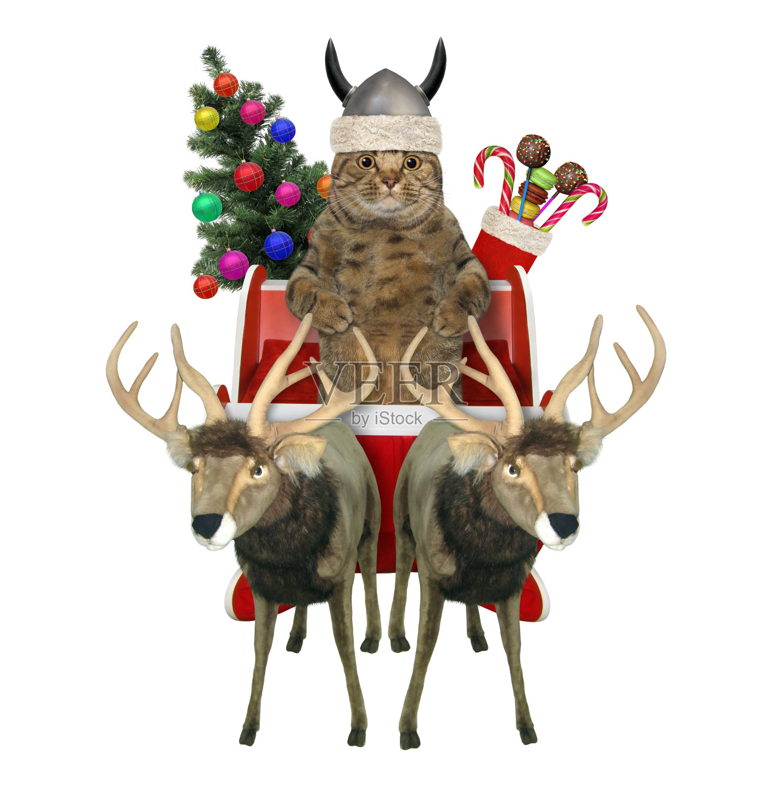 圣诞雪橇上的圣诞猫照片摄影图片