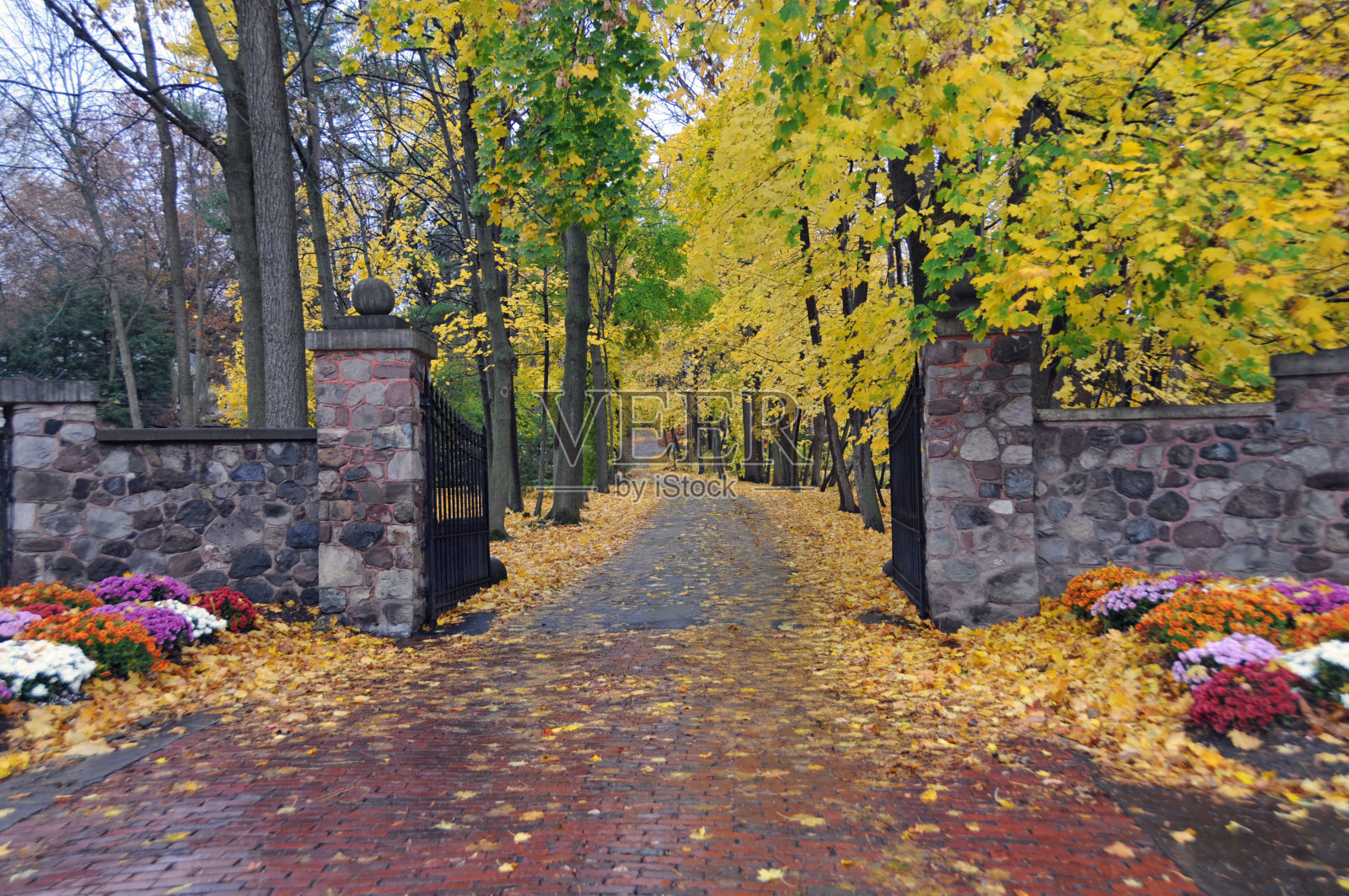 印第安纳州福尔-霍华德县美丽的乡村小路照片摄影图片