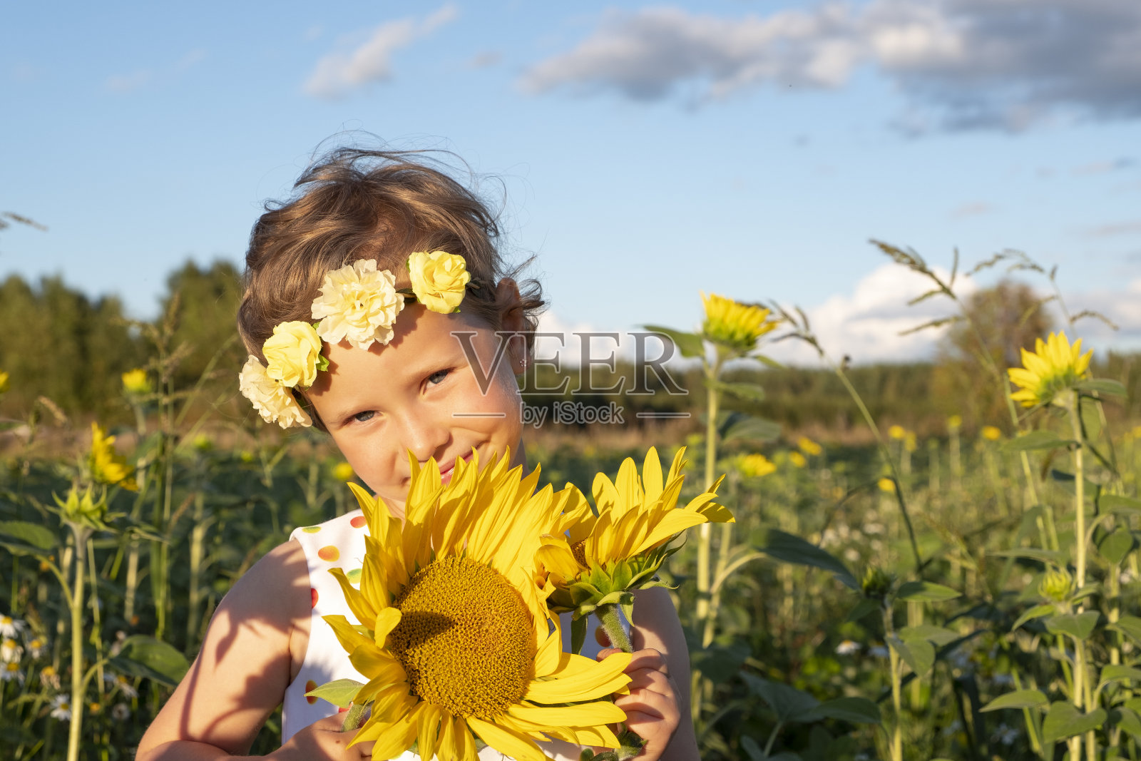 肖像。白人女孩，五岁，在向日葵地里。在乡下休息。夏末，秋末照片摄影图片