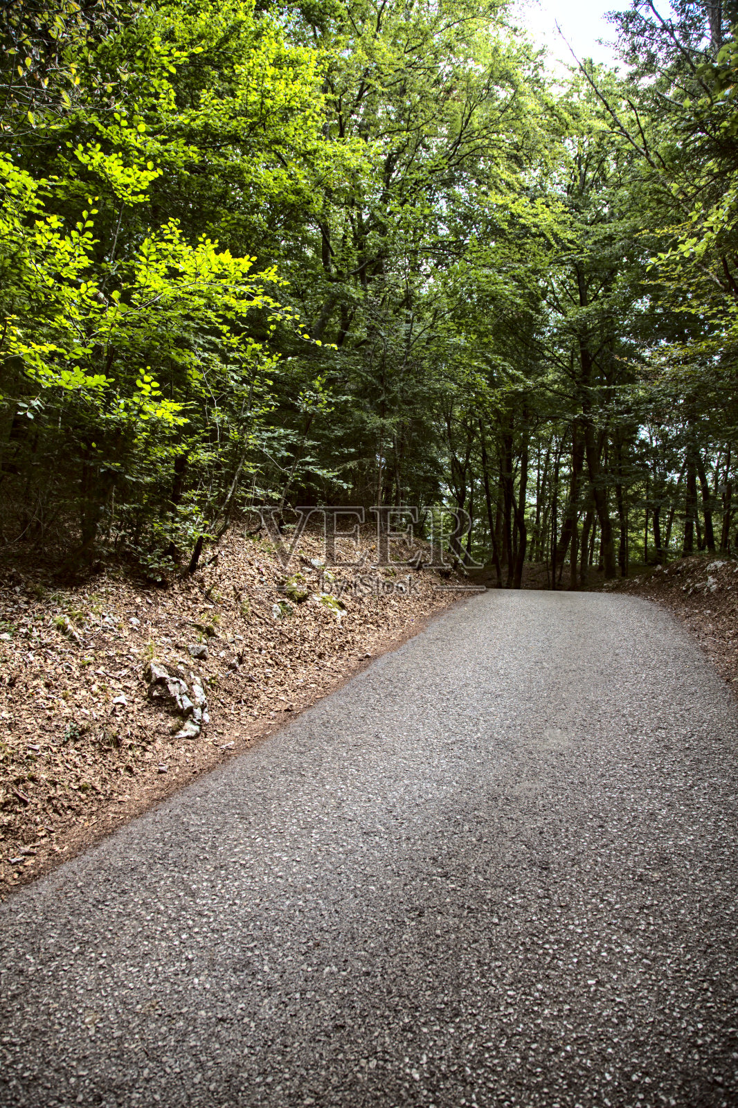 路在山林里照片摄影图片