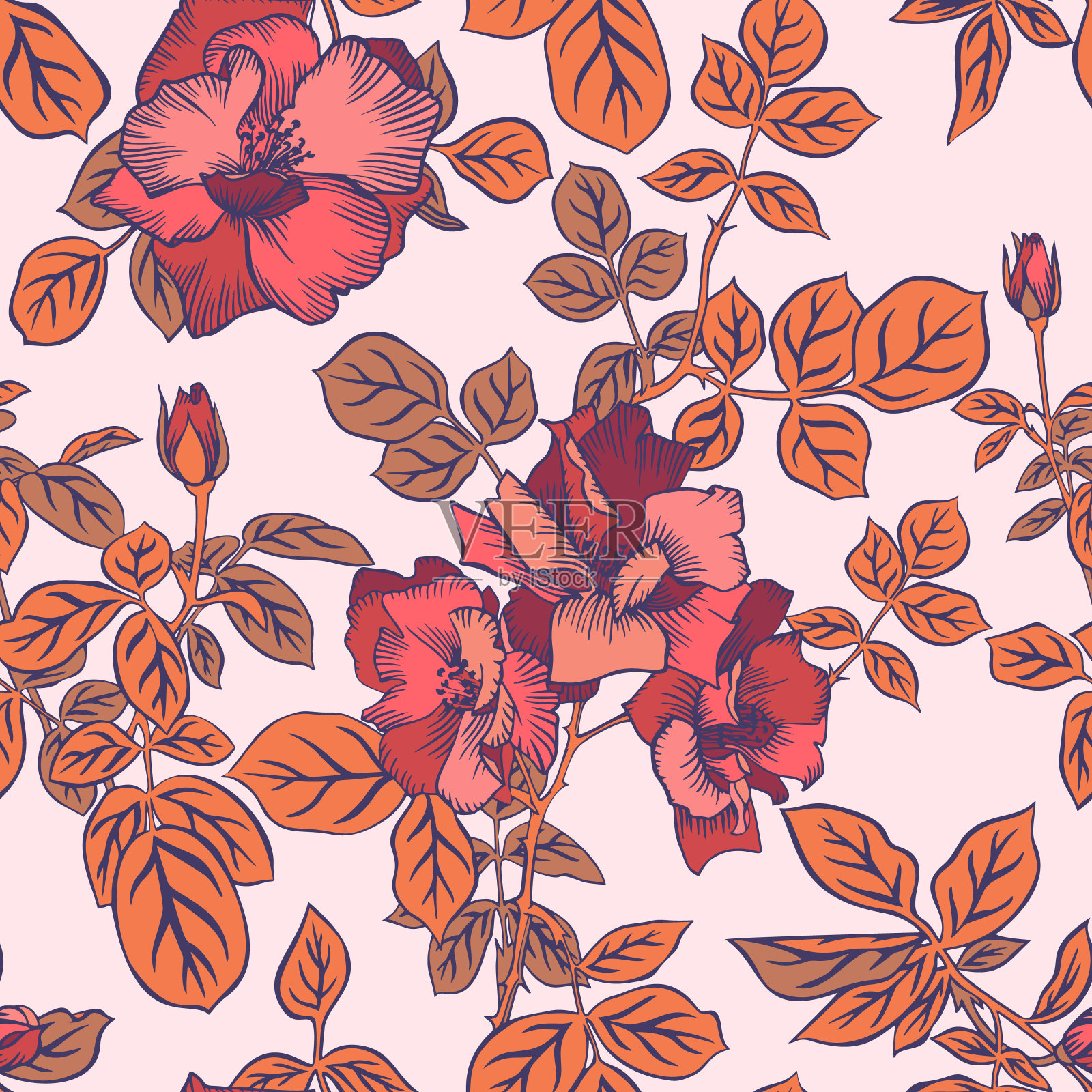 艺术的夏季花背景孤立在淡粉红色.美丽的植物点缀.线条画,复古风格