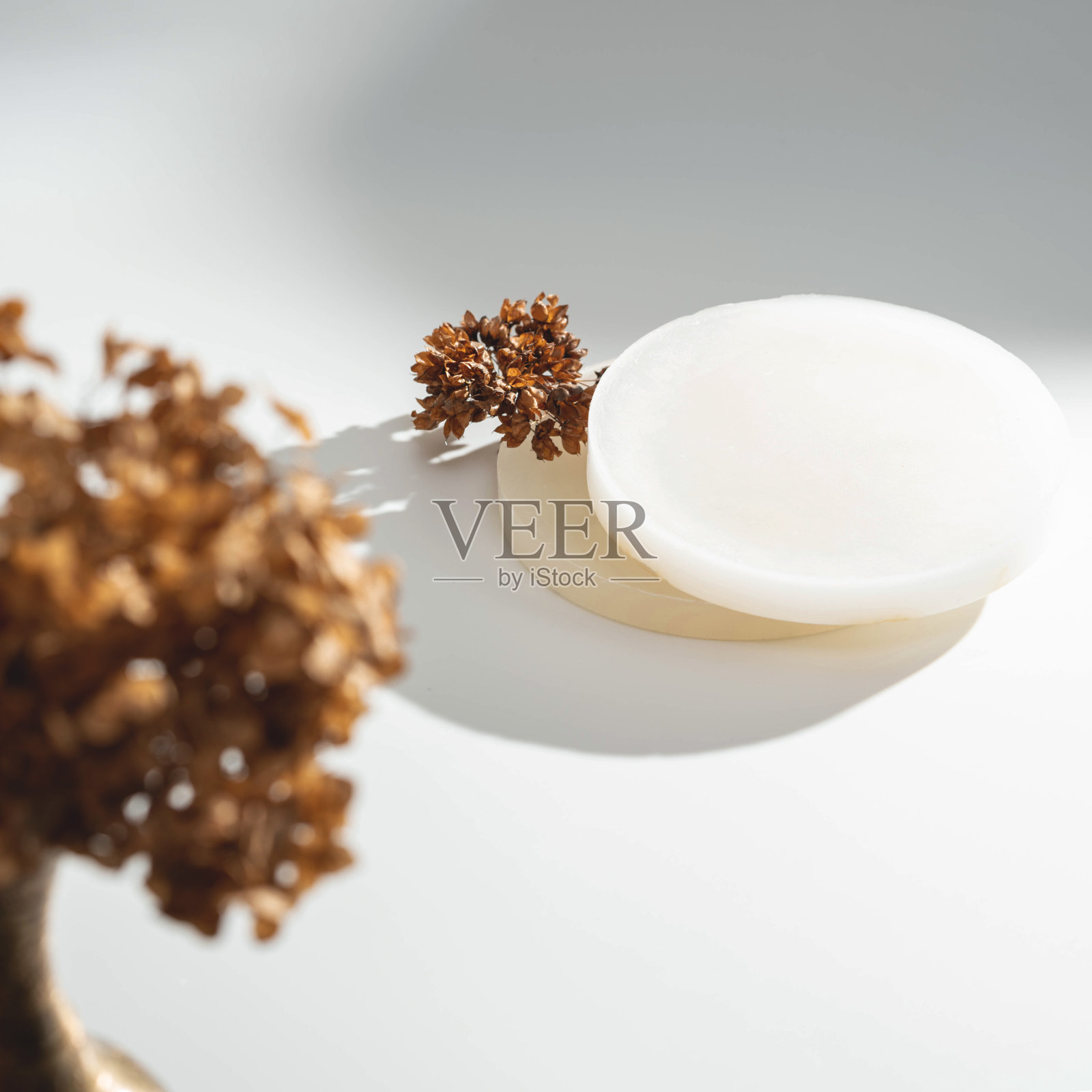 极简主义的背景与几何形状和干花。照片摄影图片