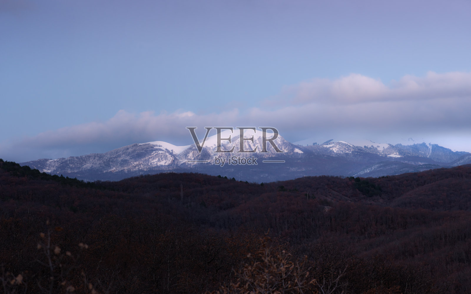 全景景观与雪峰日落和秋天光秃秃的森林照片摄影图片