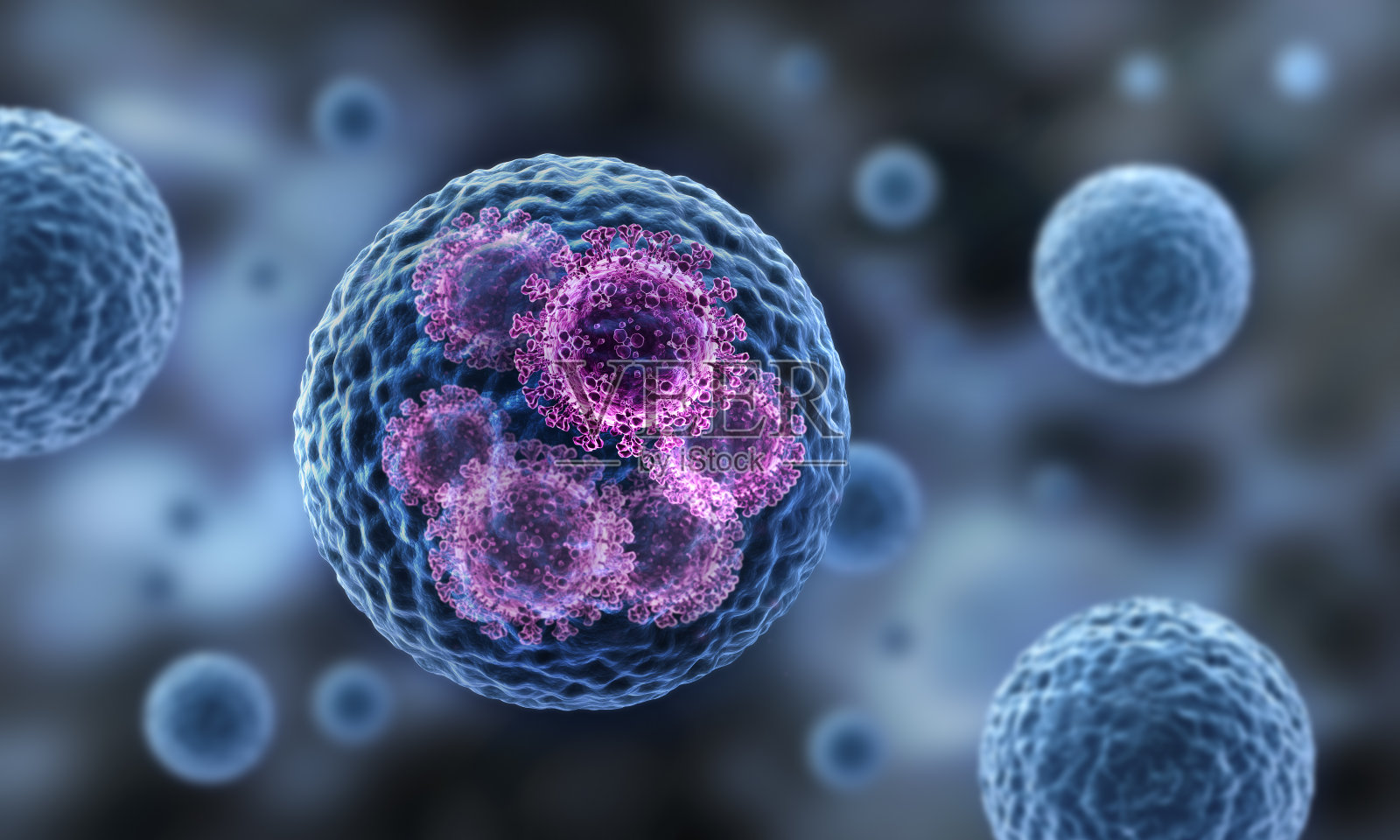 带细胞的冠状病毒COVID-19照片摄影图片