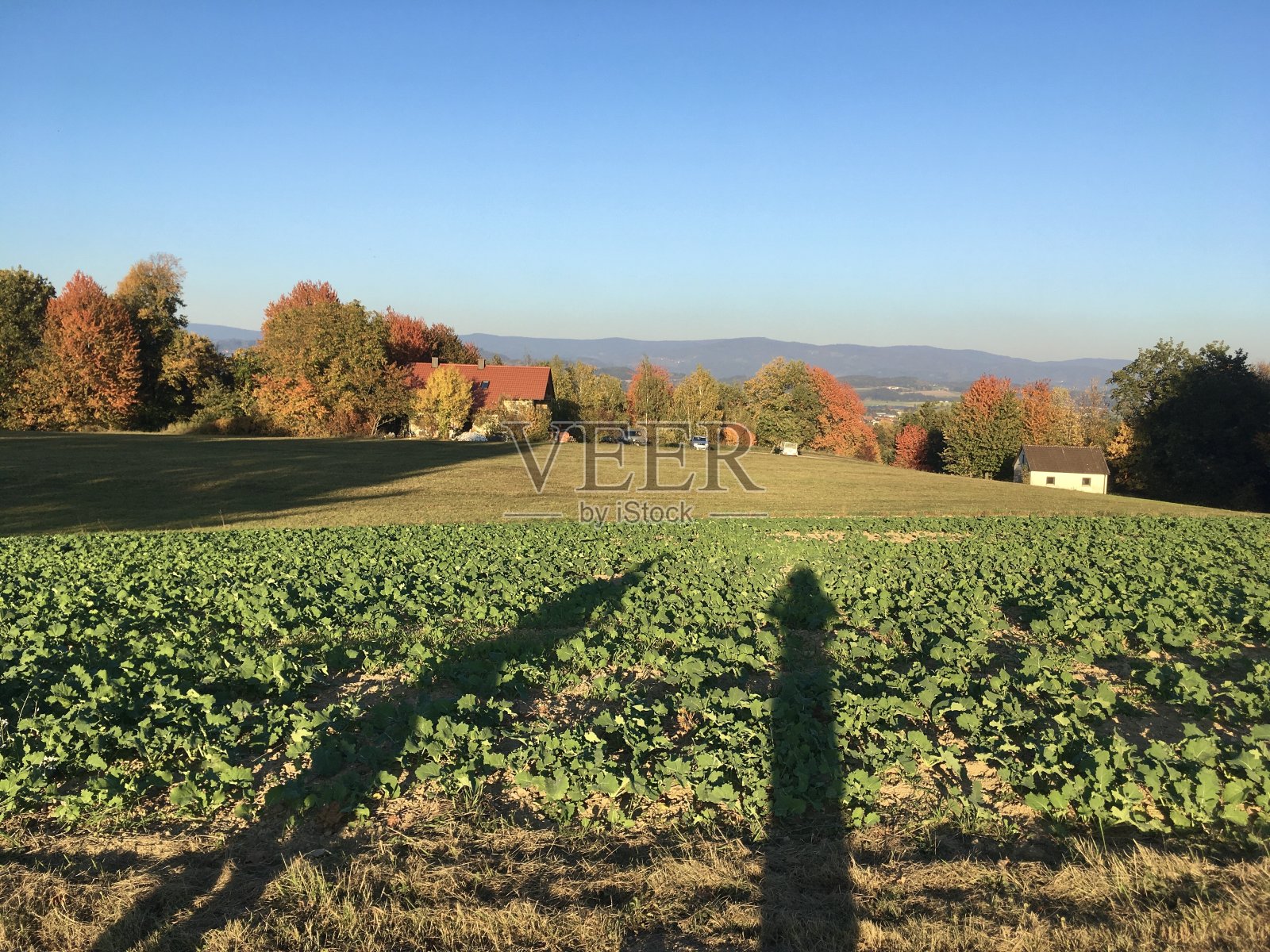全景式的伯根堡位于巴伐利亚州下巴伐利亚州的斯特劳平-伯根地区，这座哥特式的玛丽恩瓦尔教堂建于青铜时代的动荡时期，是巴伐利亚州的“圣山”照片摄影图片