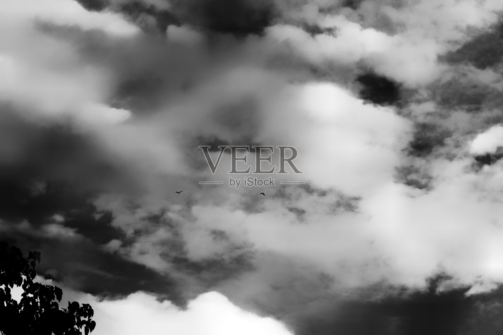 阴天的低角度视图照片摄影图片