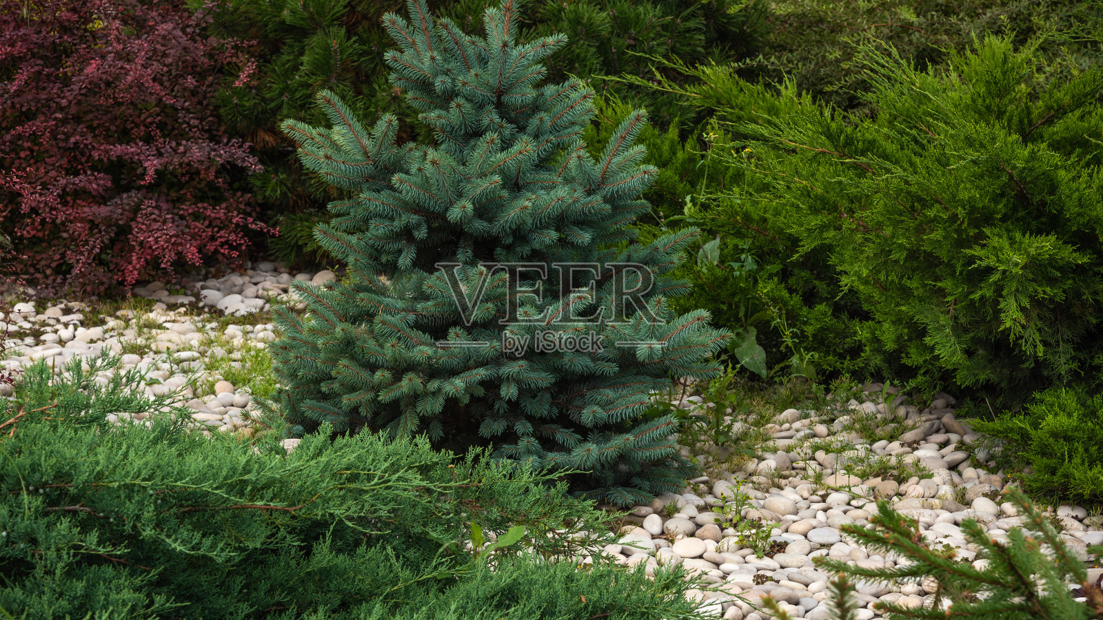 一种装饰高山滑梯的碎块，景观设计——假山用针叶树、高山草、大石头和卵石构成照片摄影图片