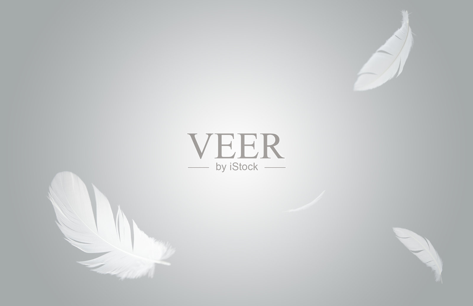 羽毛抽象自由概念的背景。一根白色的羽毛在空中飘浮着。照片摄影图片