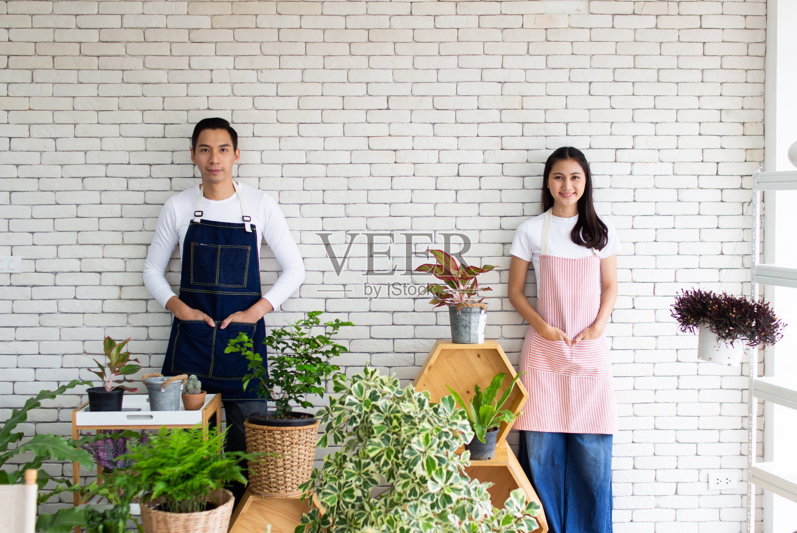 特写夫妇亚洲朋友与盆栽植物与墙的背景照片摄影图片