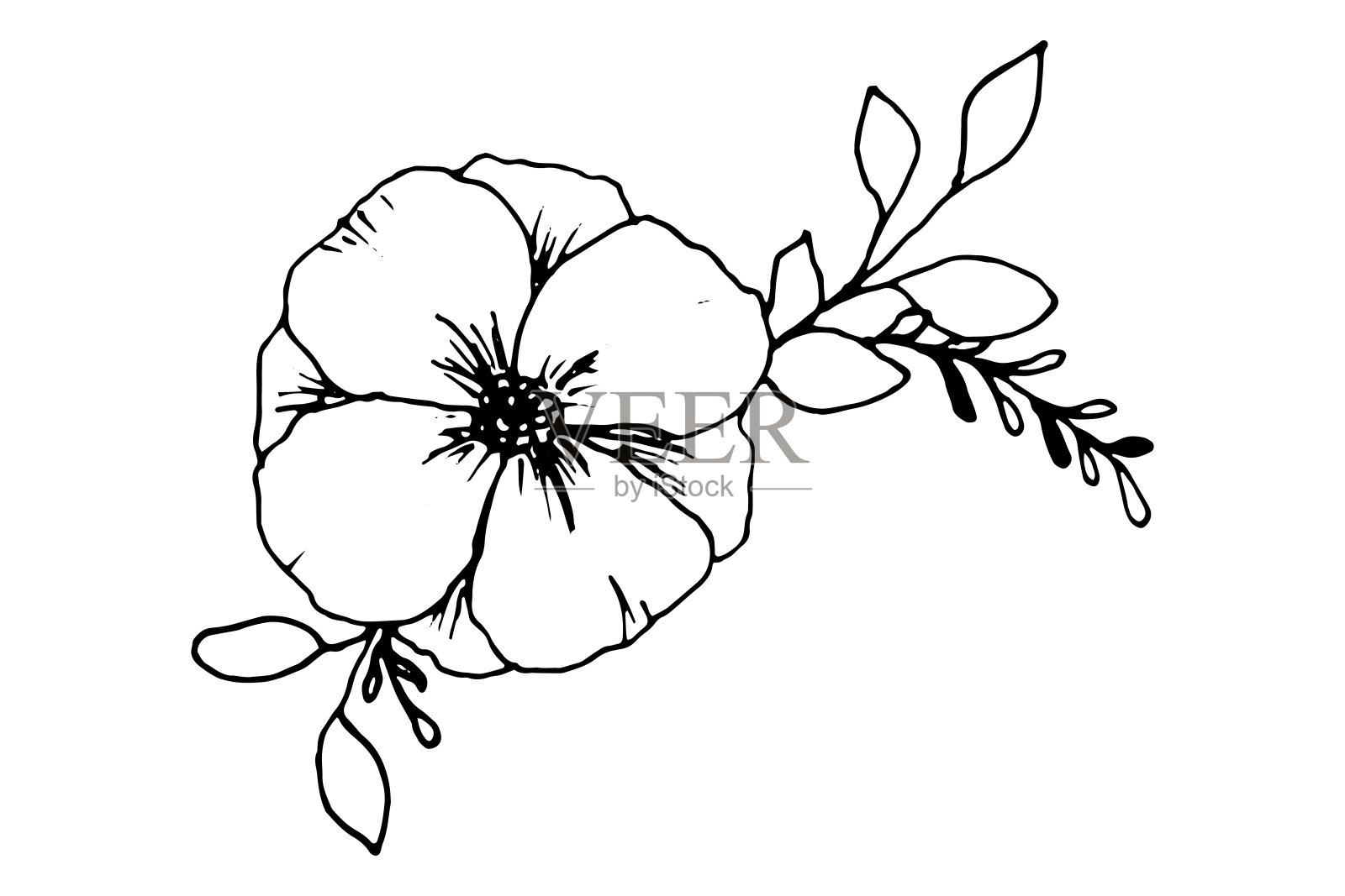 手绘涂鸦花。孤立在白色的。向量插画图片素材