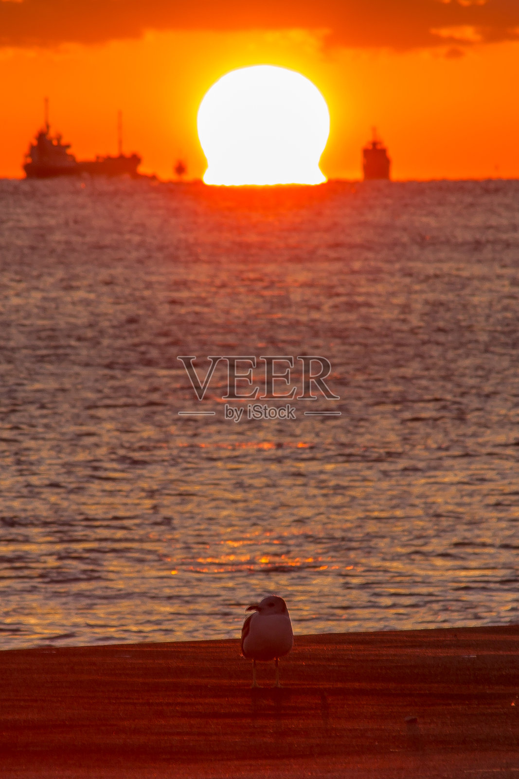 从海岸看到的达摩日落照片摄影图片