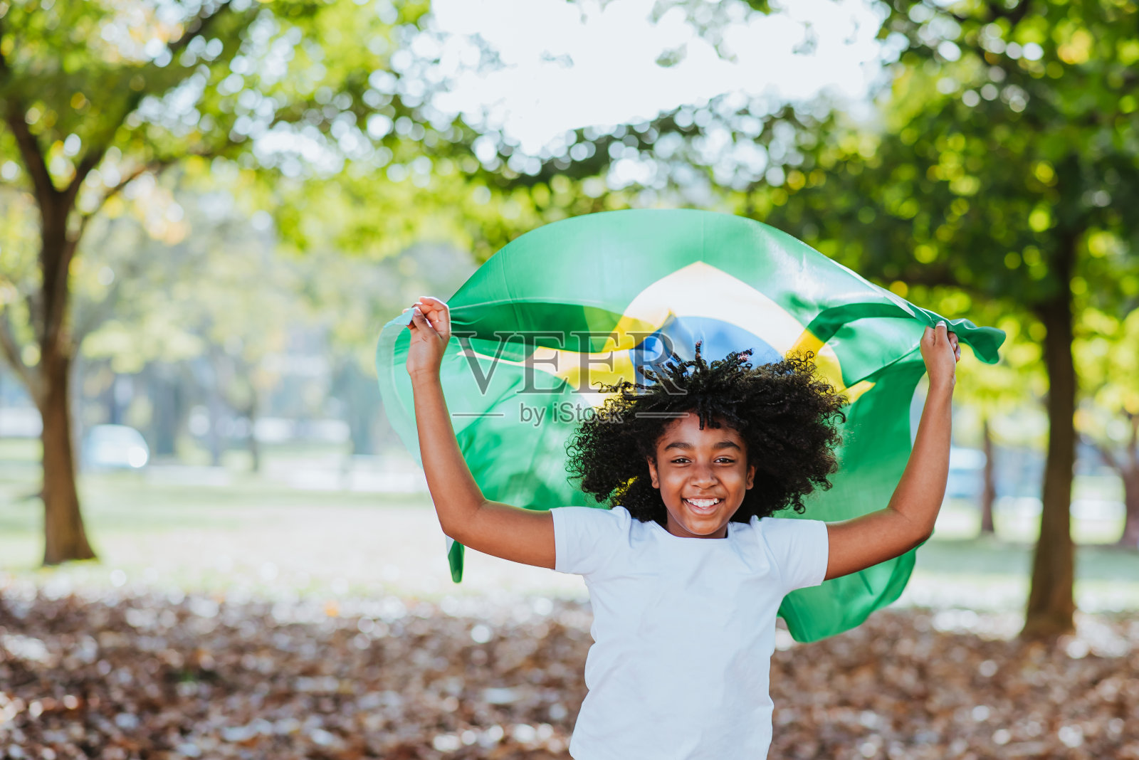 9月7日，巴西独立日照片摄影图片