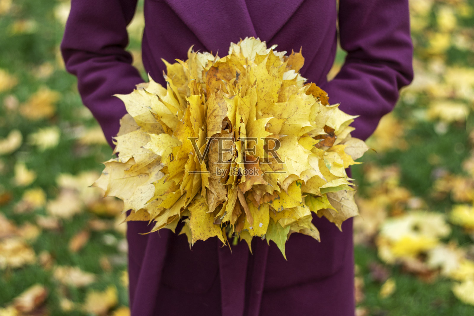 秋叶花束特写。照片摄影图片