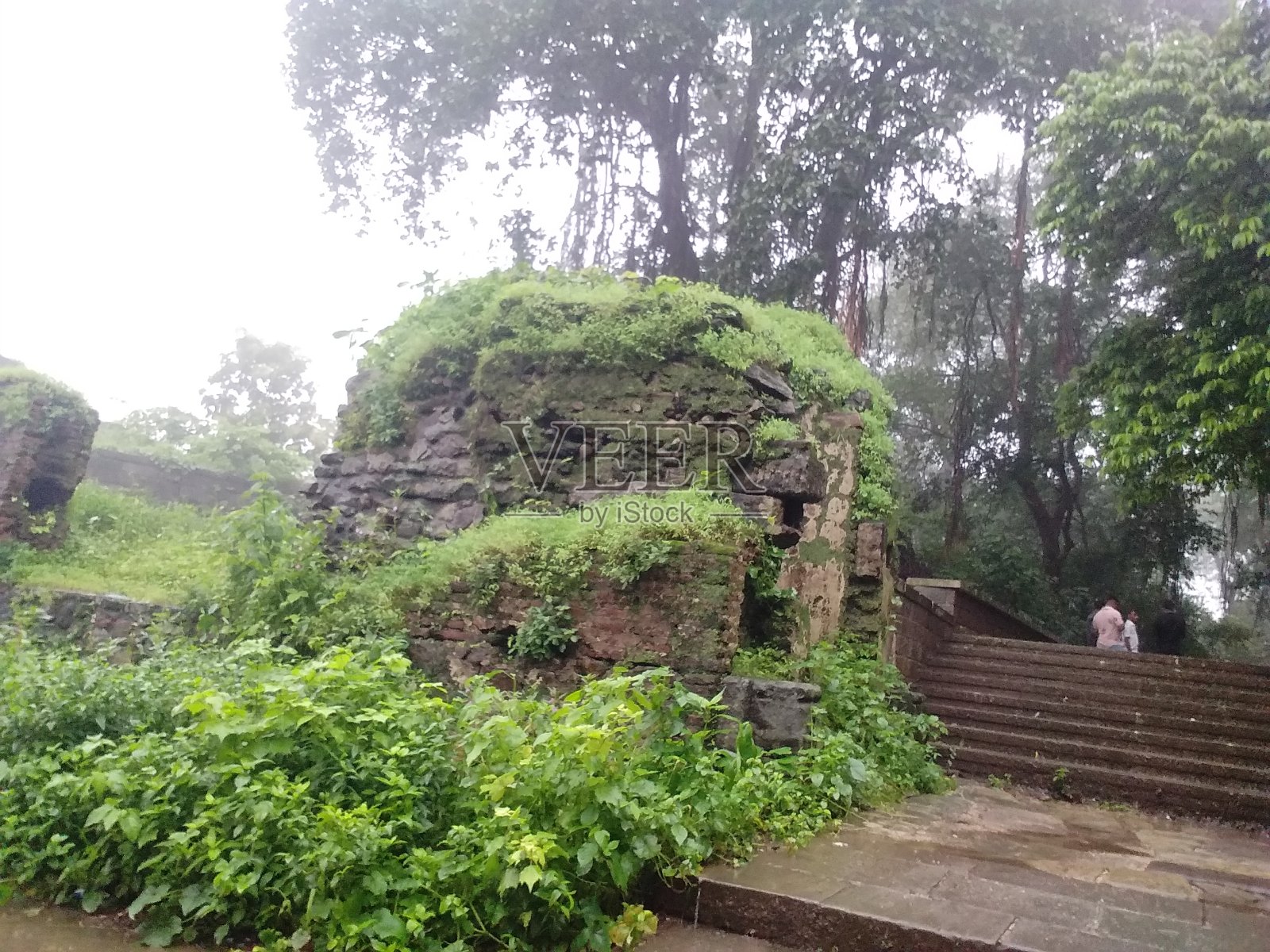 印度古吉拉特邦瓦多达拉森林中的城堡废墟照片摄影图片