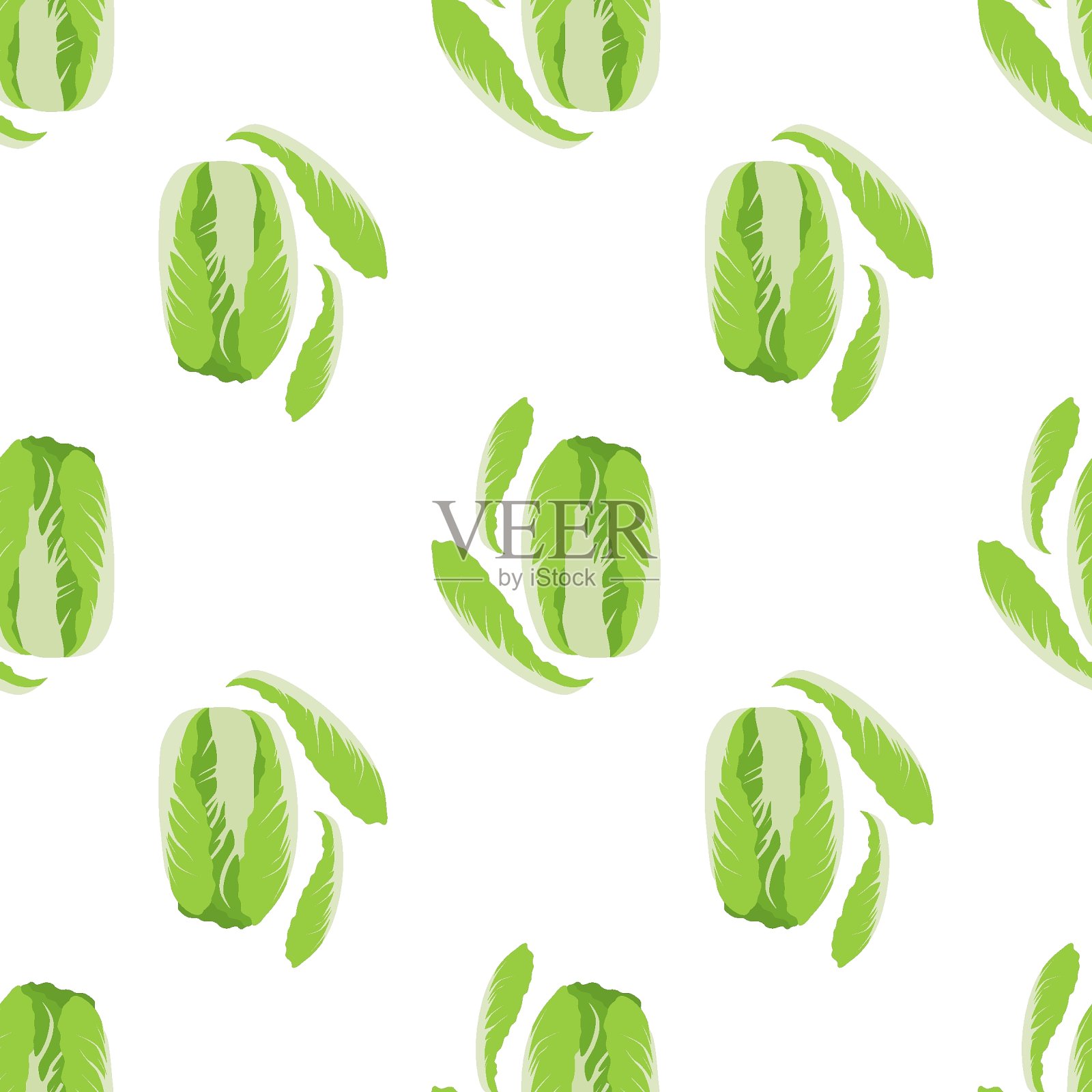 卷心菜插画图片素材