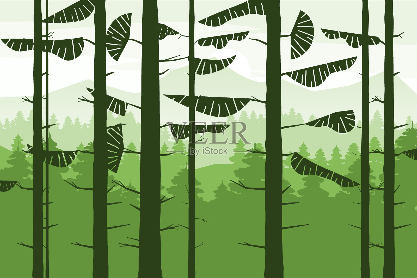 森林针叶树树干冷杉，夏季木山。矢量插图孤立插画图片素材